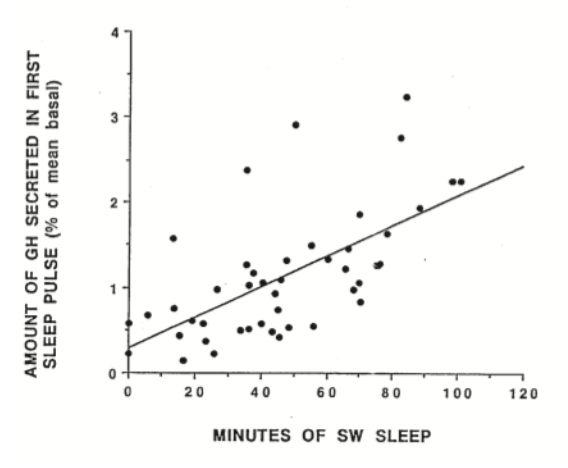 成長ホルモン濃度と深い睡眠との関係