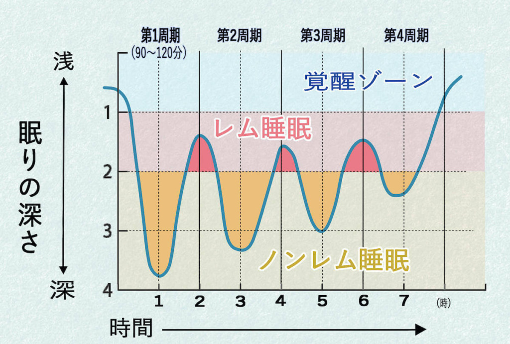 睡眠の質は90分で決まる！？そのメカニズムを解説 快眠を届けるメディアnenmi